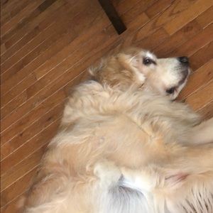 Meet your Posher, Emma